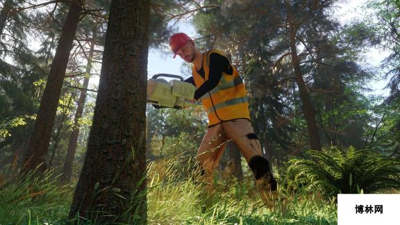 护林员模拟器任务与自由模式介绍 探索真实森林守护之旅